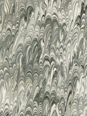 ABACUS WALLPAPER / MOSS AGATE LIGHT