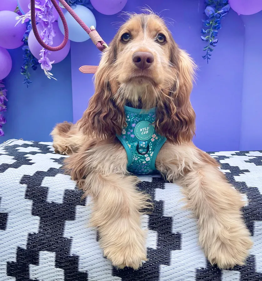 Adjustable Dog Harness: Notting Hill Mint
