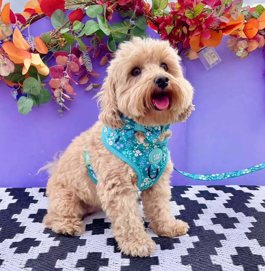 Adjustable Dog Harness: Notting Hill Mint