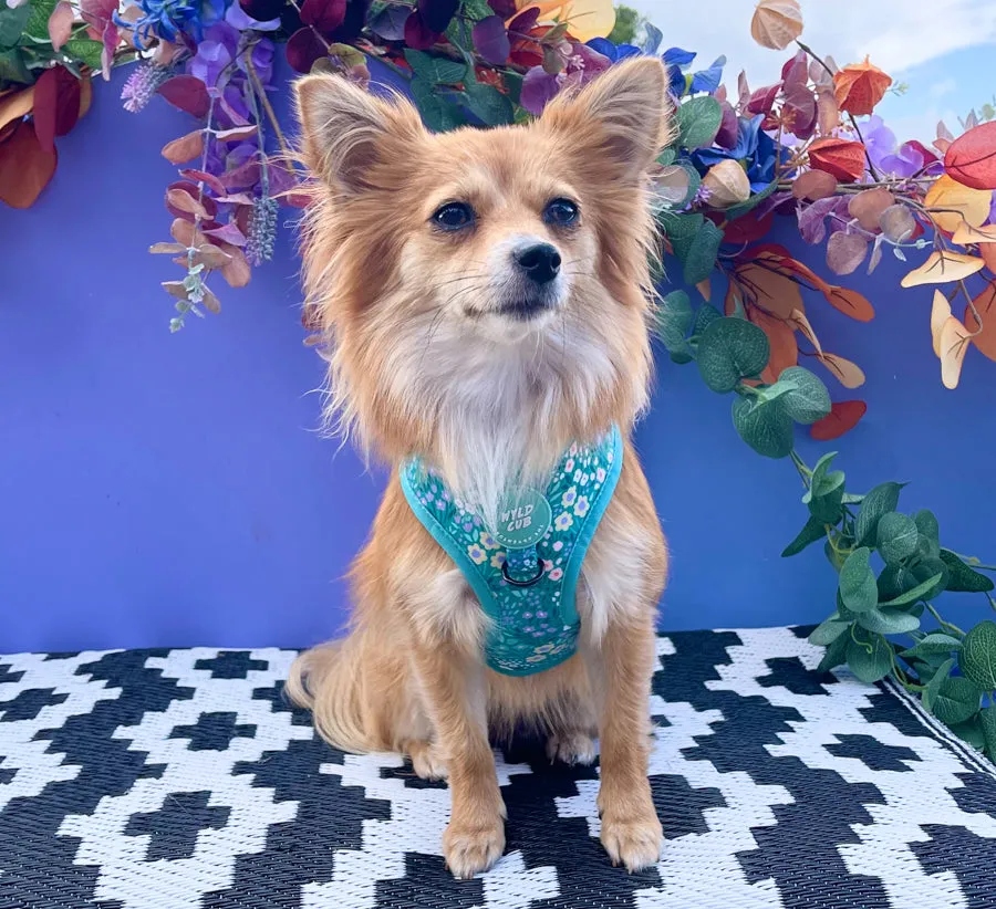 Adjustable Dog Harness: Notting Hill Mint