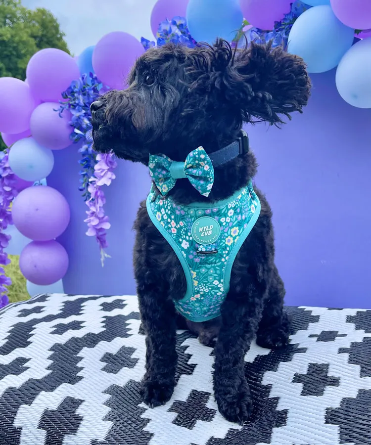 Adjustable Dog Harness: Notting Hill Mint