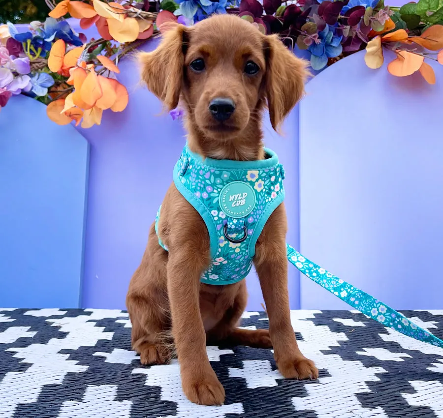 Adjustable Dog Harness: Notting Hill Mint