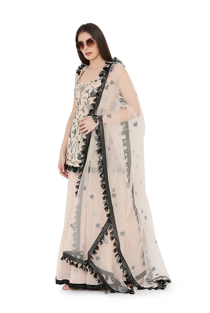 BLUSH KURTA SHARARA SET