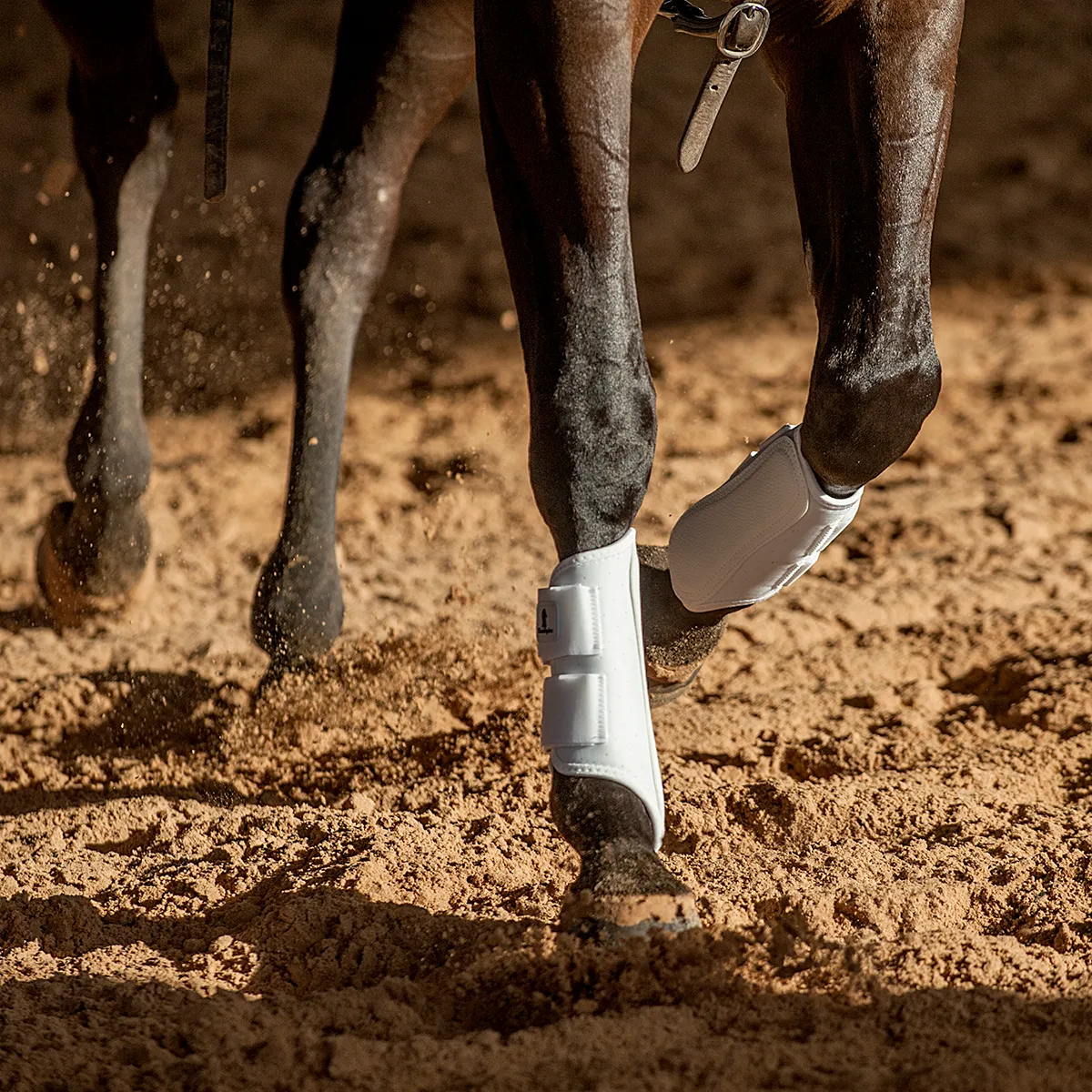 Classic Equine Airwave Splint Boot Black