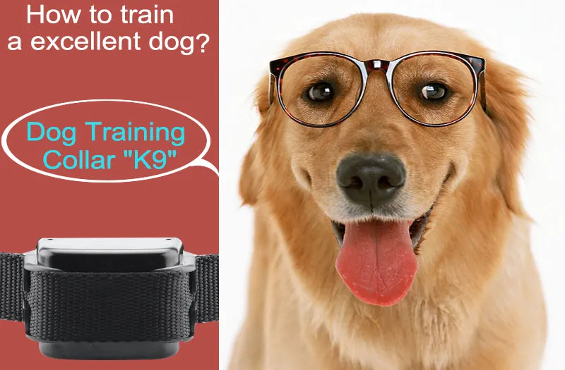 Dog Training Collar 'K9 II' - Vibration   Shock Selectable, 3 Shock Levels, Remote Control, 1000 Meter Range
