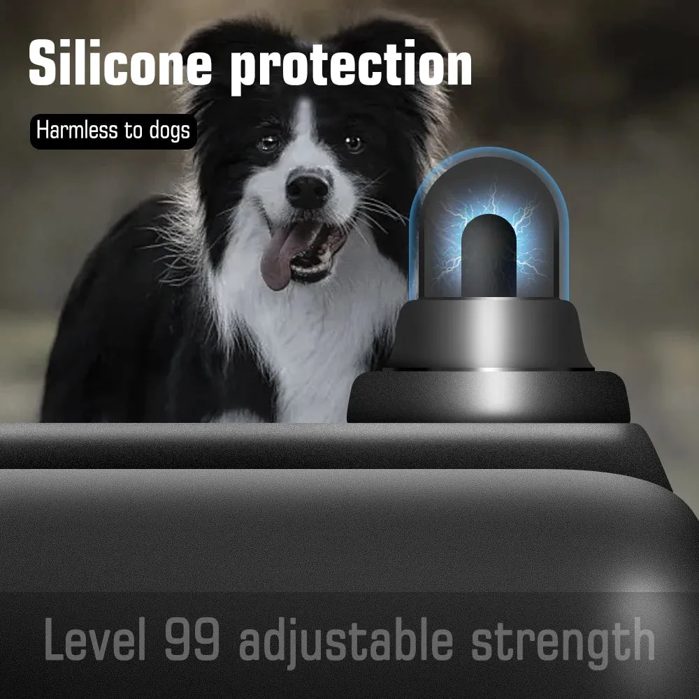 Dog Training Collar with Remote