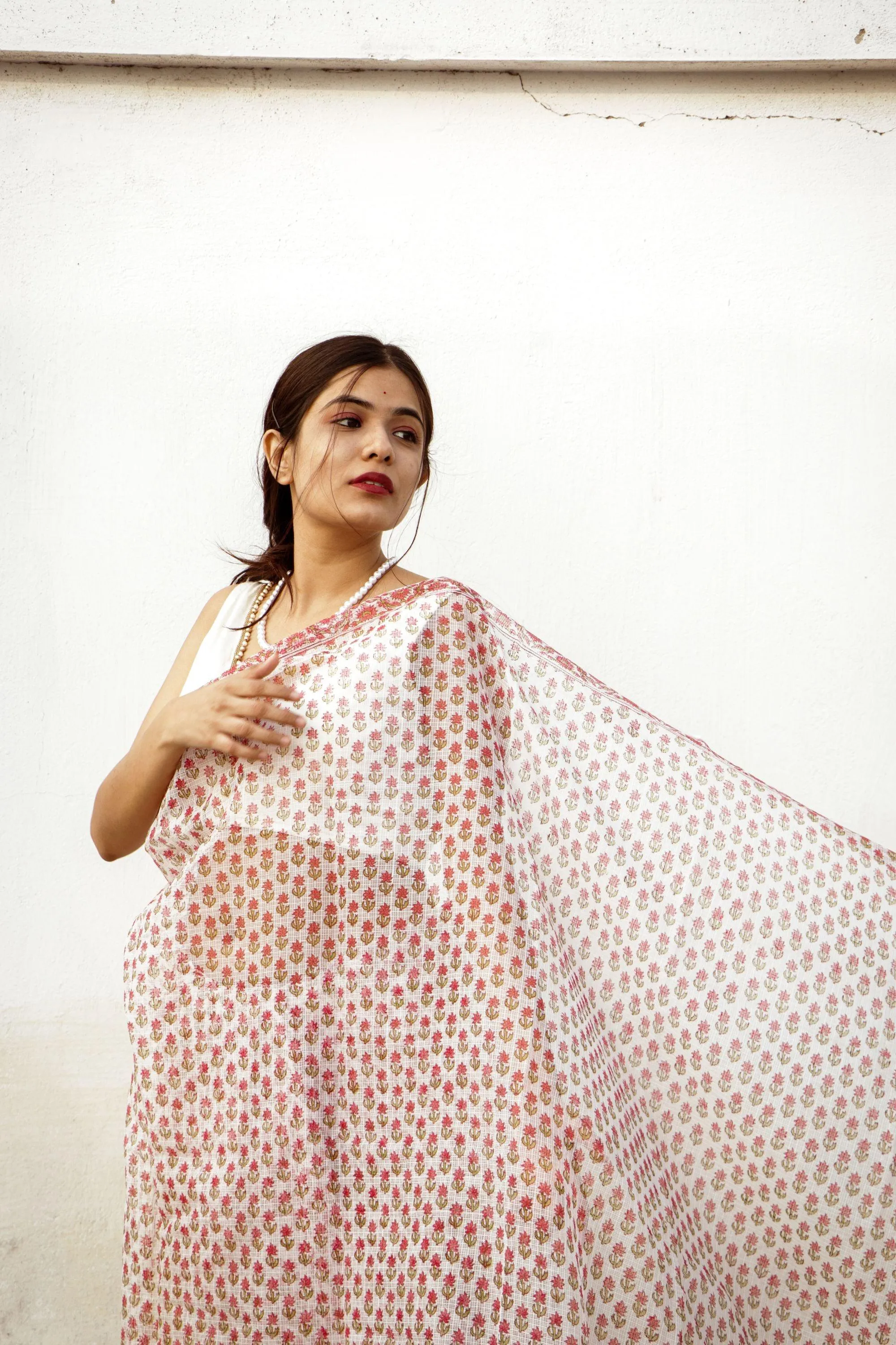 Evergreen printed Kota saree - Bagh- Phool