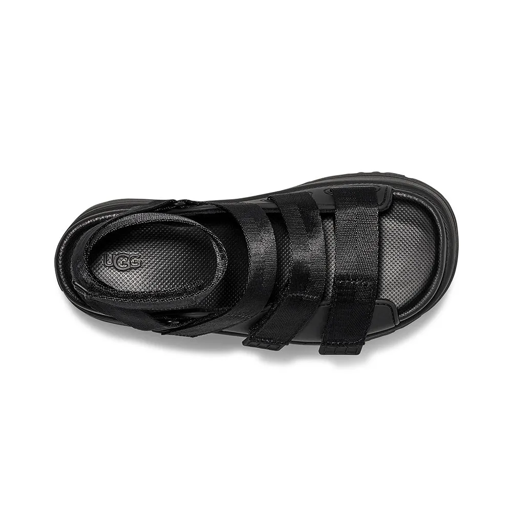 Goldenrise (Black)