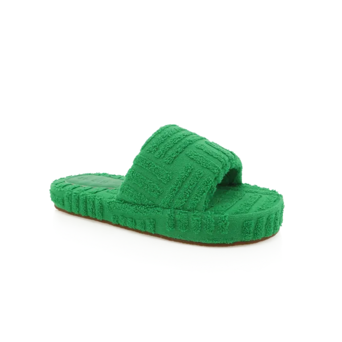 Holly Terry Slides