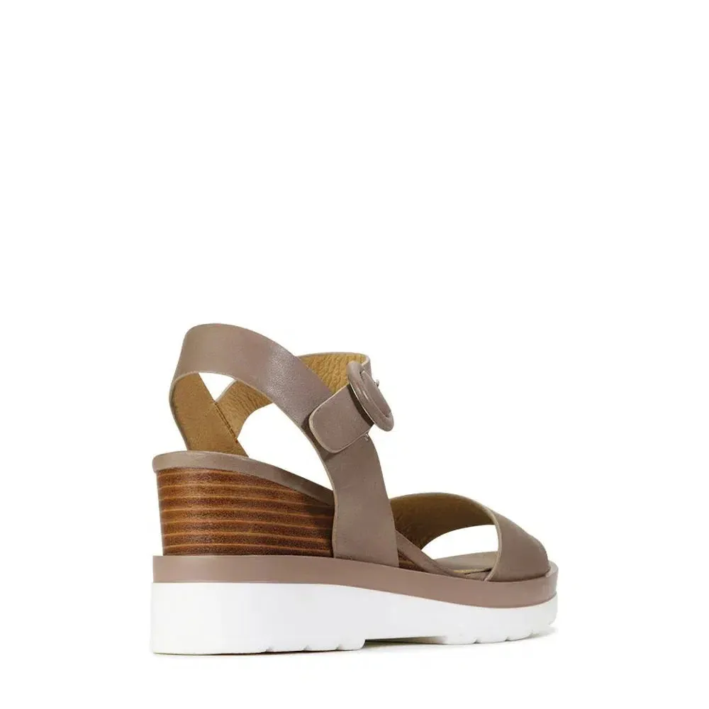 JADON WEDGE