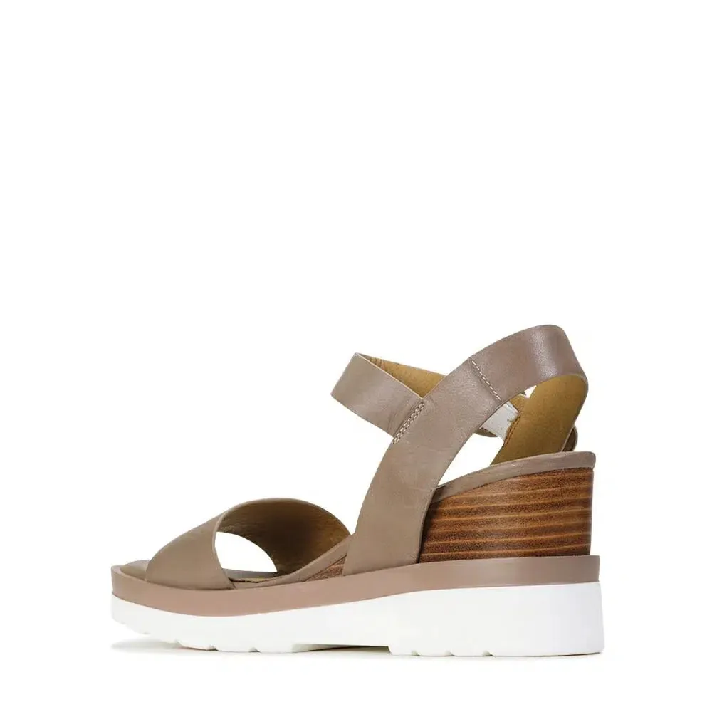 JADON WEDGE