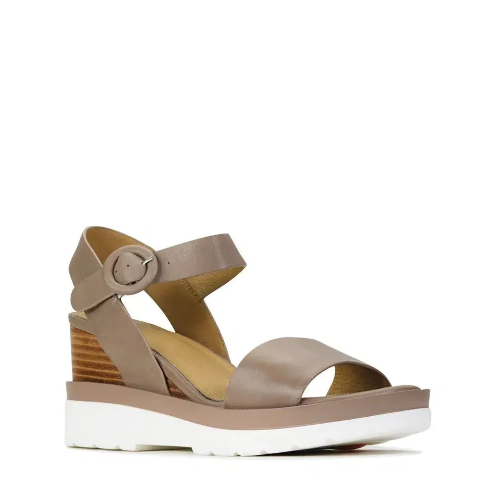 JADON WEDGE