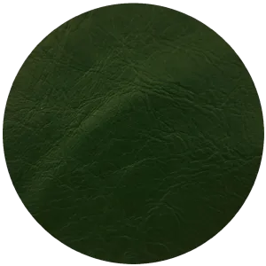 Leather Dye Paint Forest Green