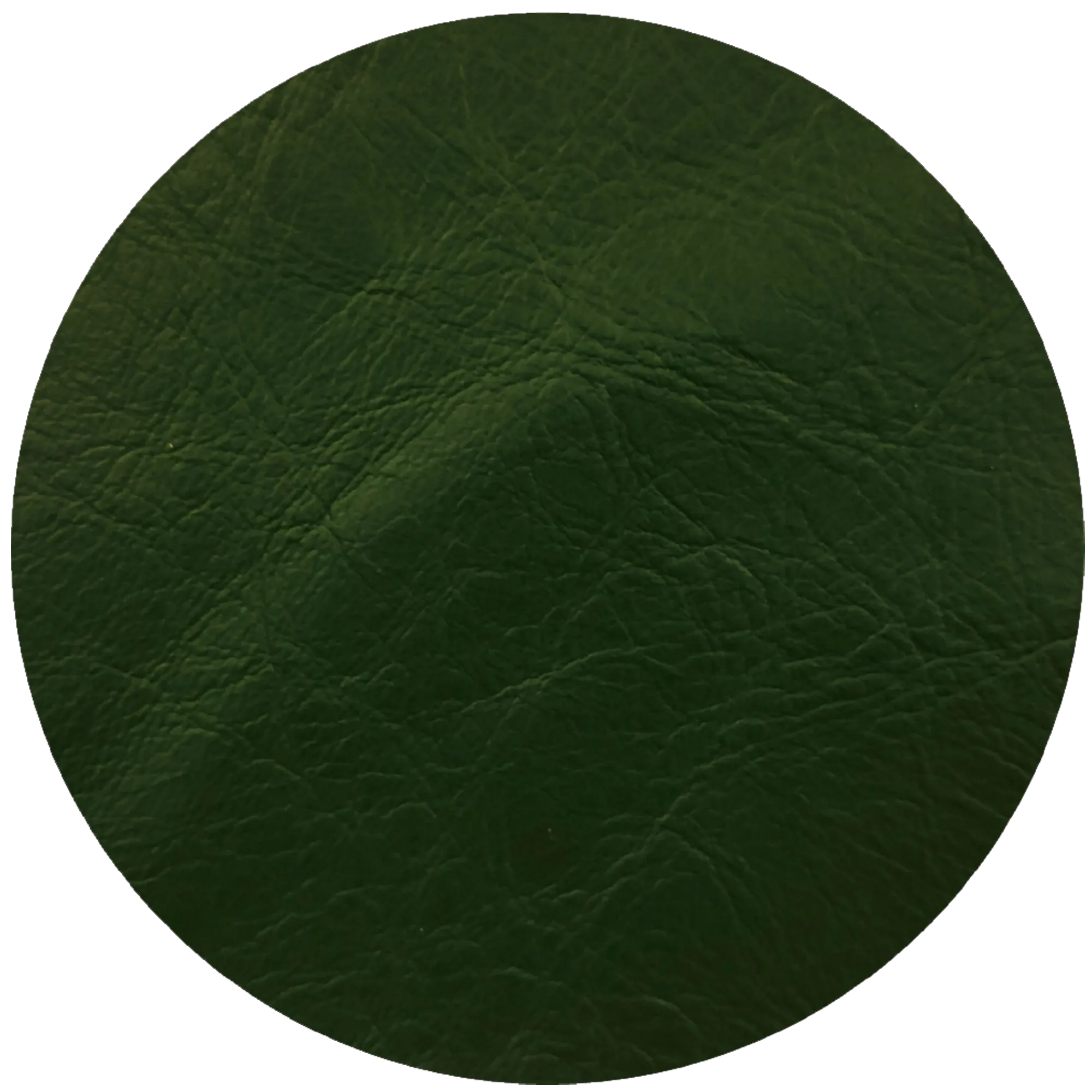 Leather Dye Paint Forest Green