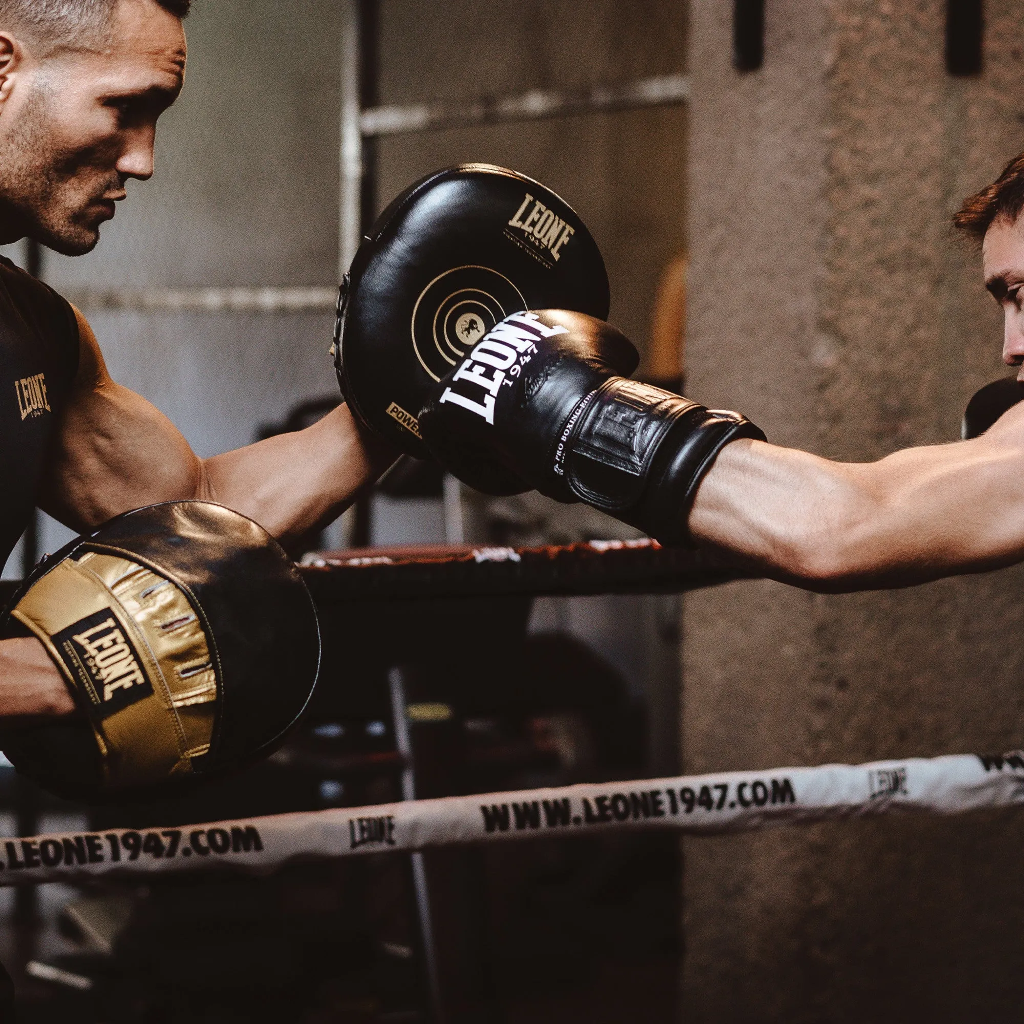 LEONE POWER LINE PUNCH MITTS