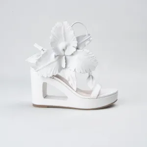 LILLY CUT OUT