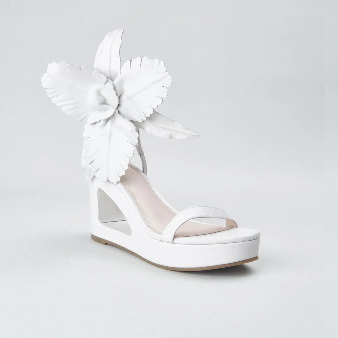 LILLY CUT OUT