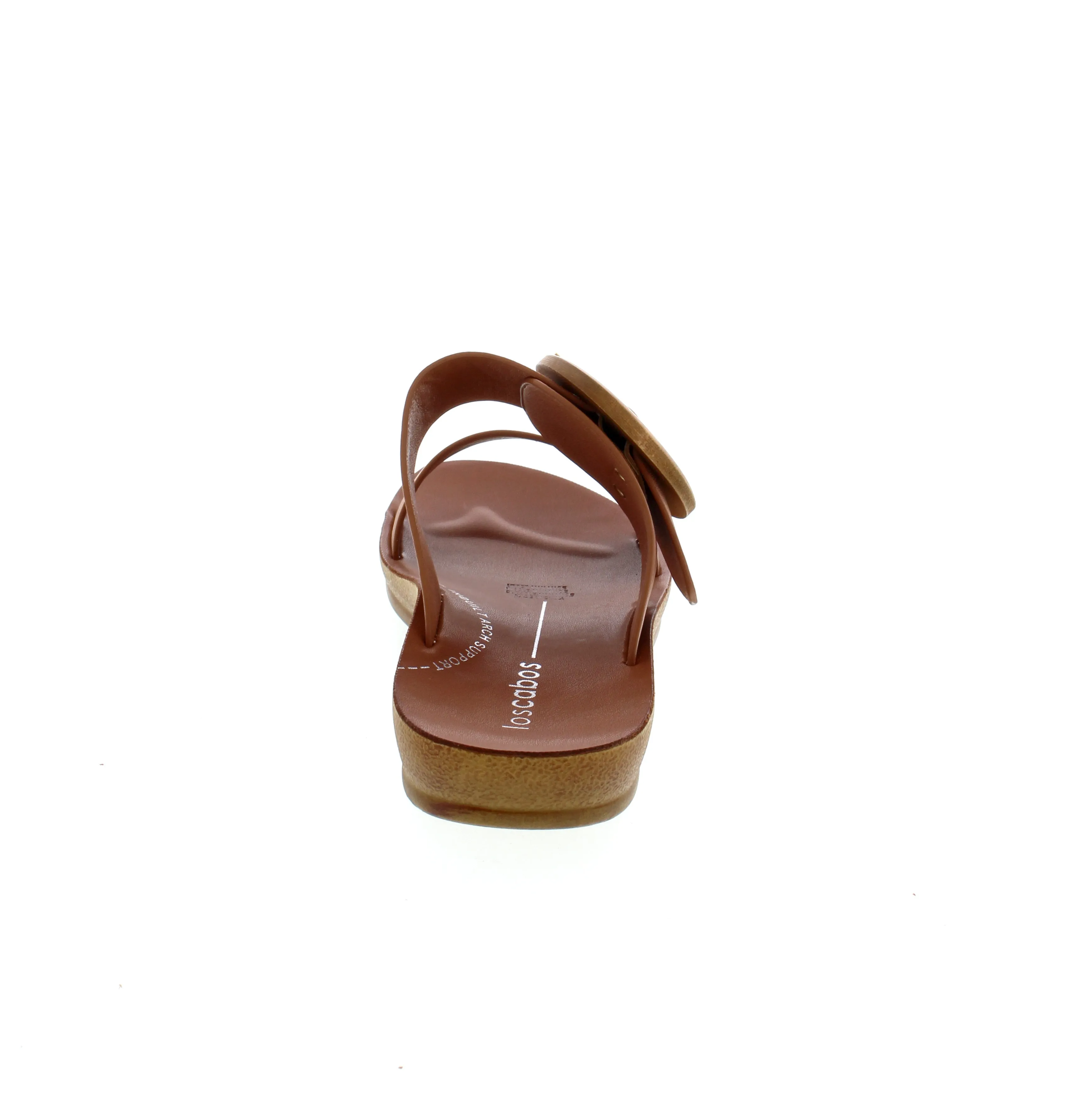 Los Cabos Damani - Bronze