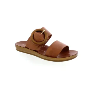 Los Cabos Damani - Bronze