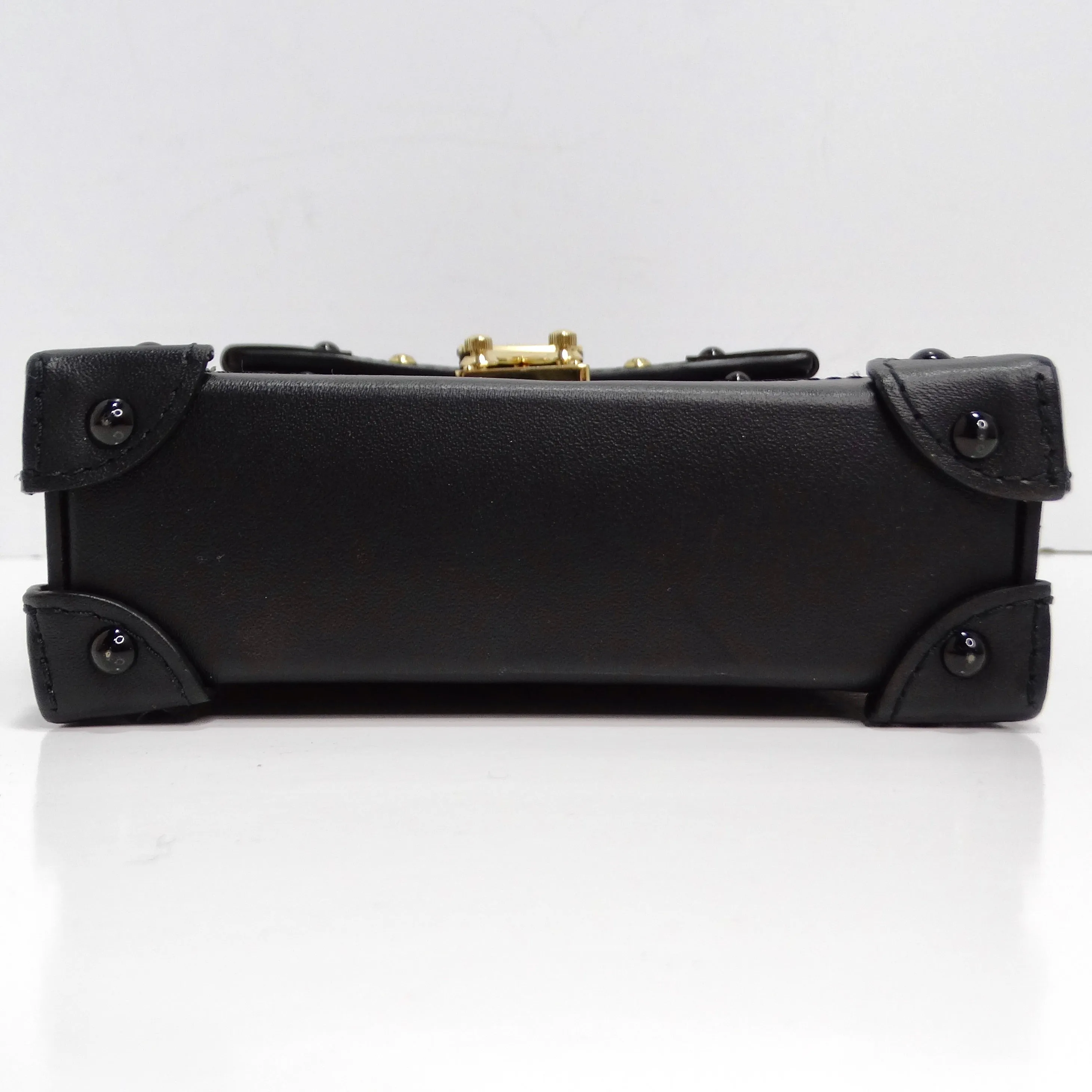 Louis Vuitton Epi Noir Pochette Vertical Trunk