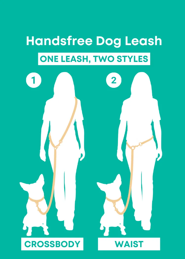 Purple Haze - Splashproof Handsfree Dog Leash
