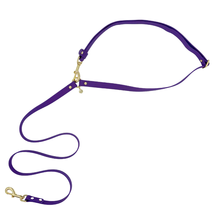 Purple Haze - Splashproof Handsfree Dog Leash
