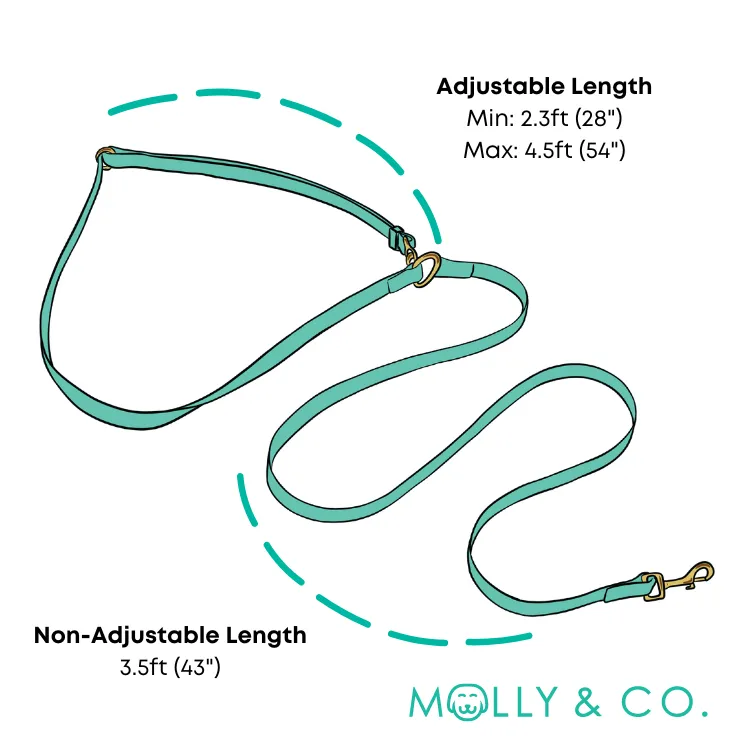 Purple Haze - Splashproof Handsfree Dog Leash