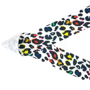 Rainbow Leopard
