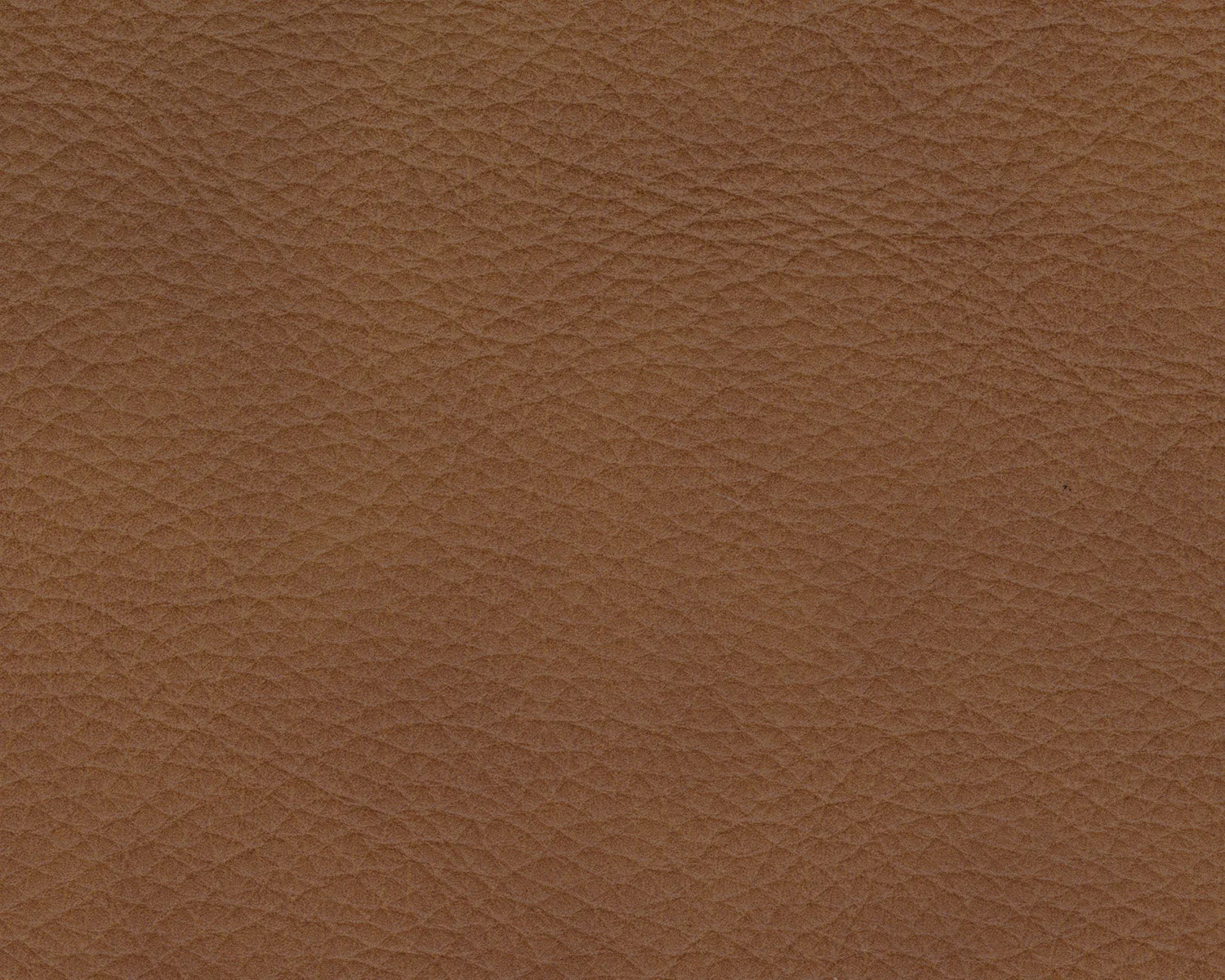 Rylee Leather Corner Wedge
