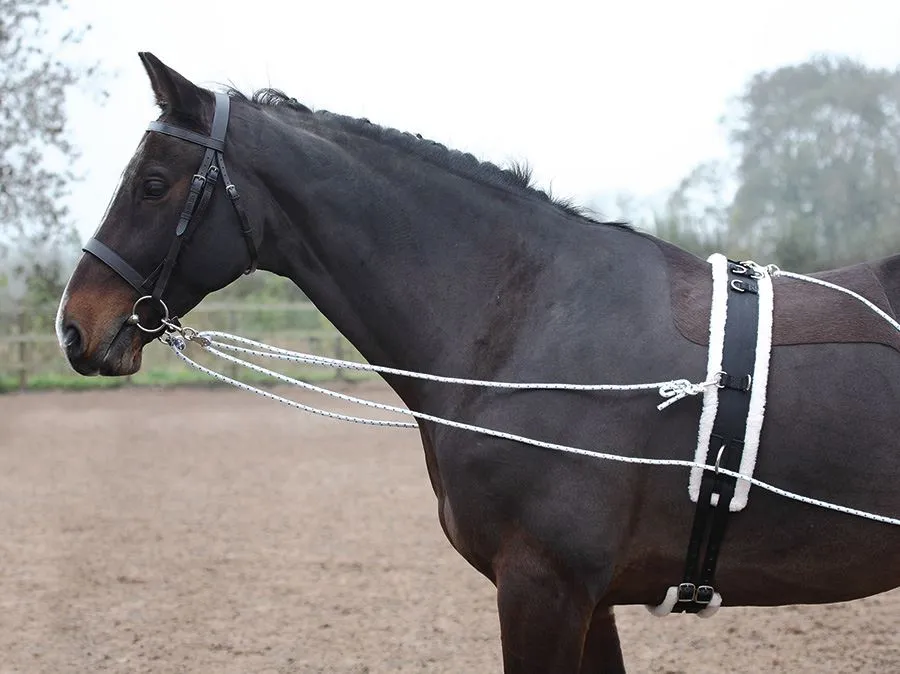 Shires Lunging Aid