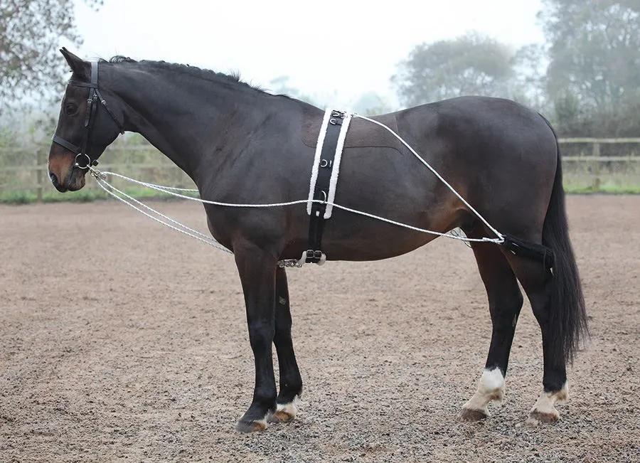 Shires Lunging Aid