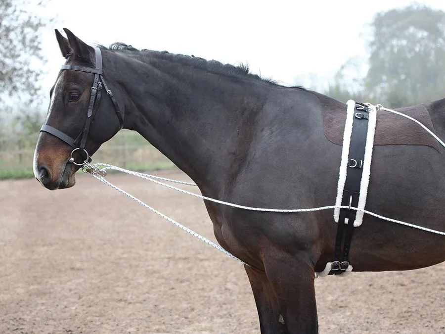 Shires Lunging Aid
