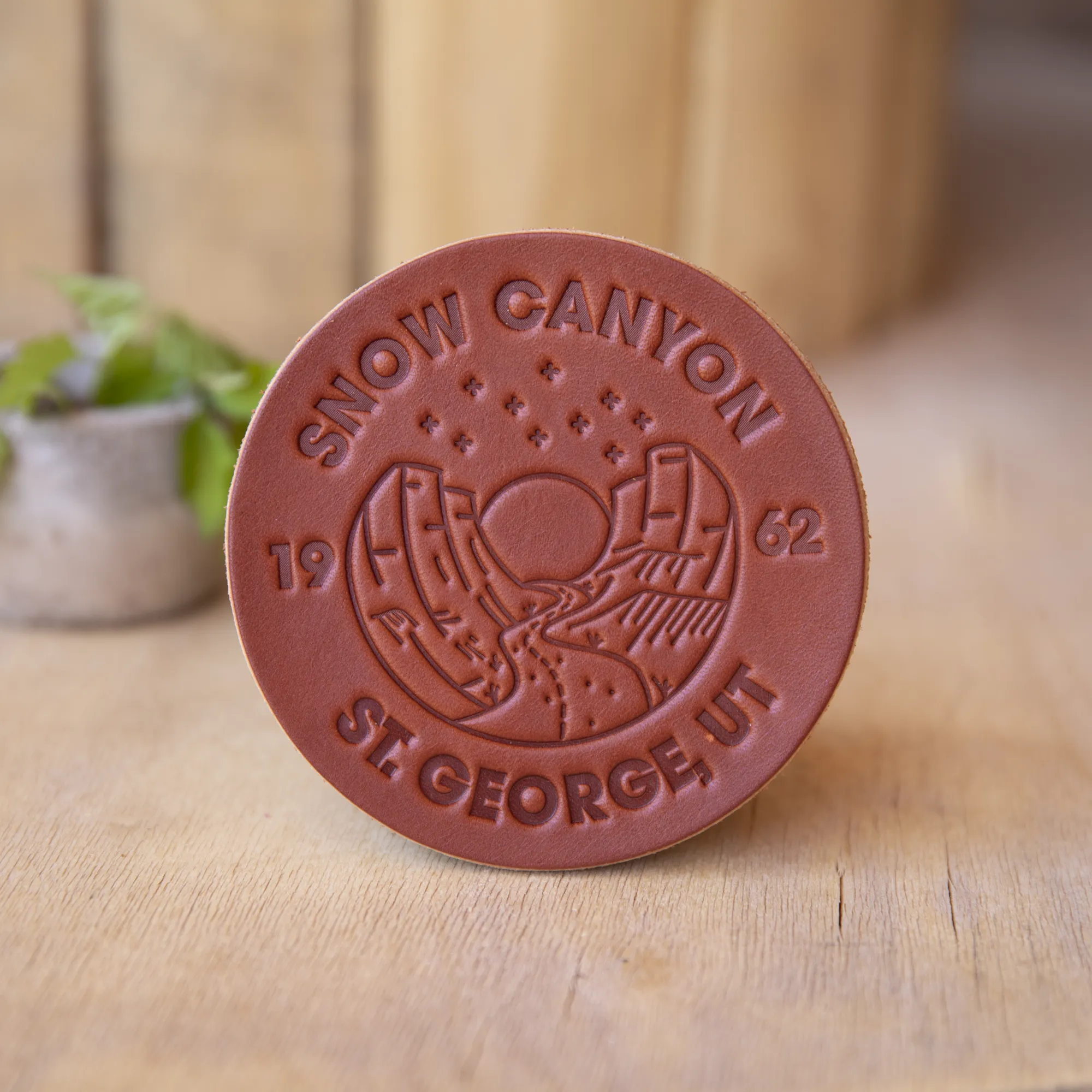 Snow Canyon Utah - Leather Coasters