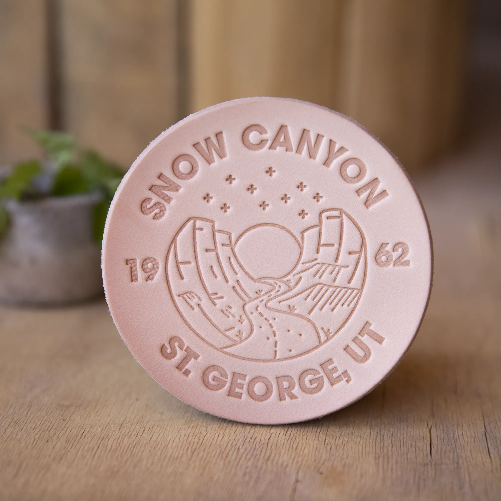 Snow Canyon Utah - Leather Coasters