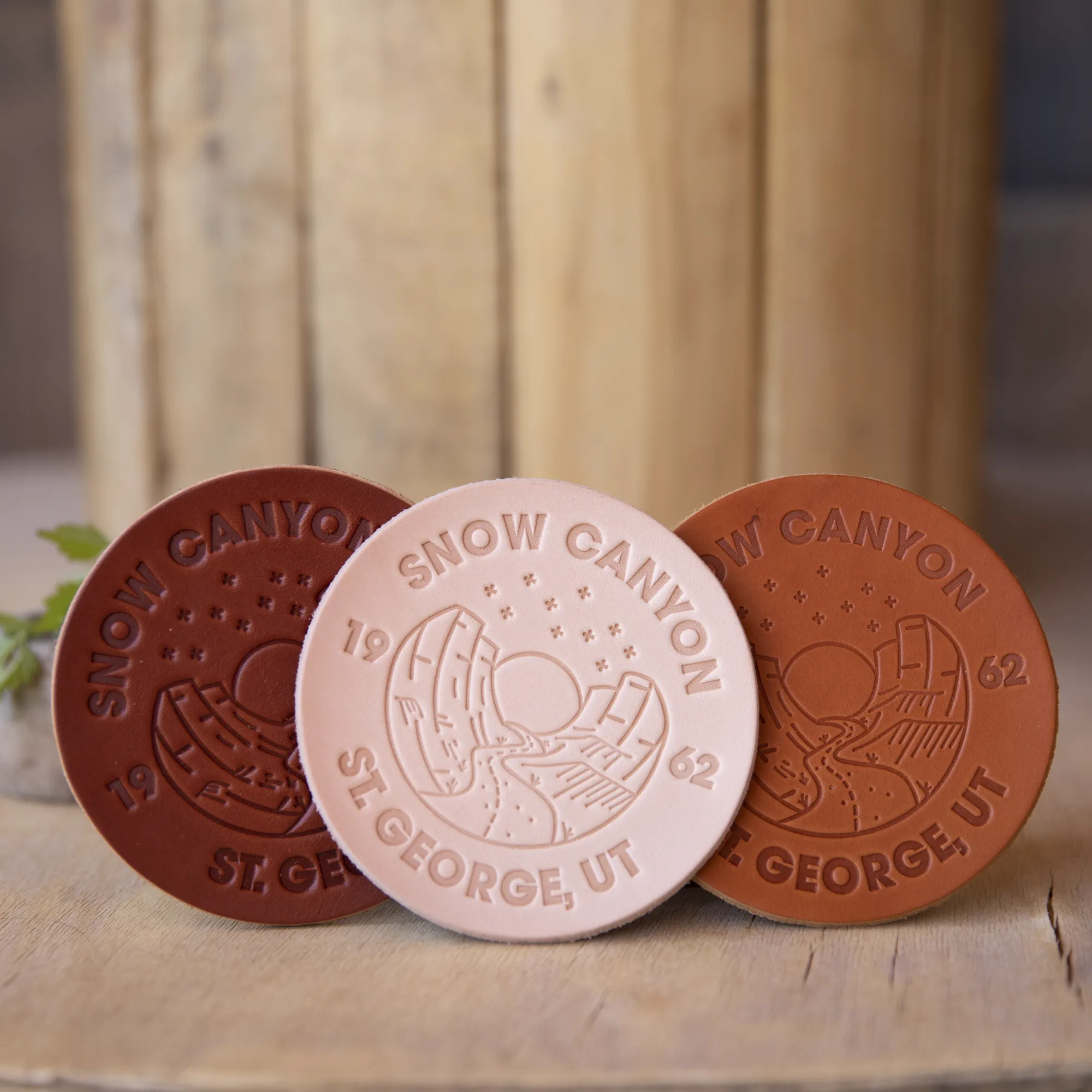 Snow Canyon Utah - Leather Coasters
