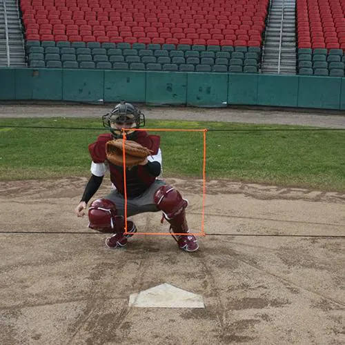 Strike Strings® Kit (with Poles)