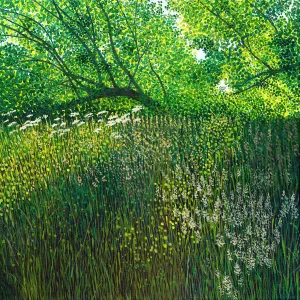 Summer Meadow Greetings Card