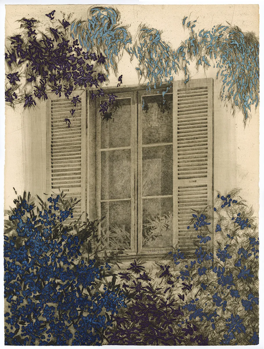 Summer Window