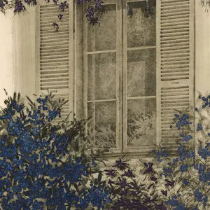 Summer Window