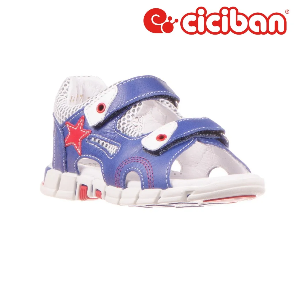 Trekk Cobalto 14