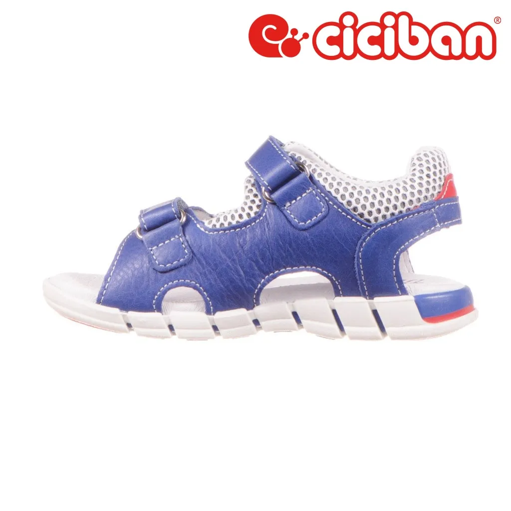 Trekk Cobalto 14