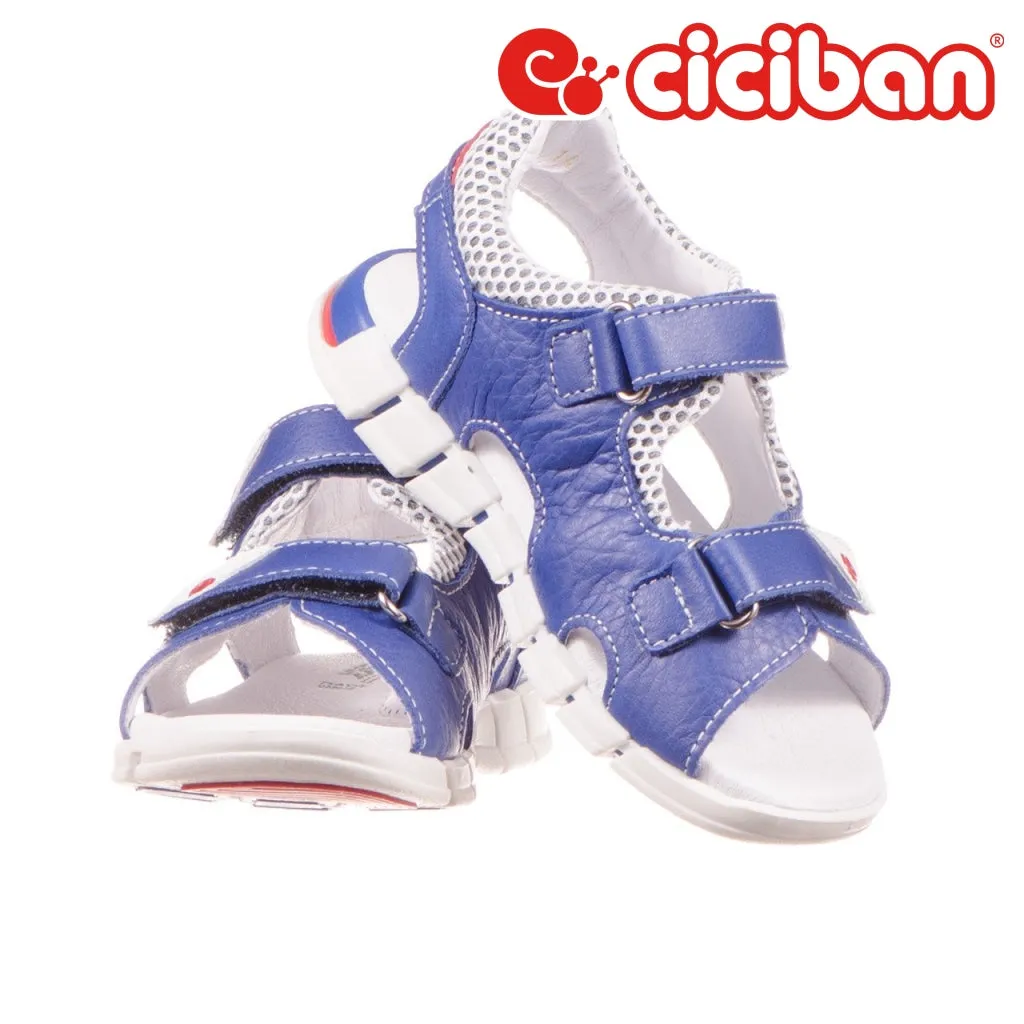 Trekk Cobalto 14