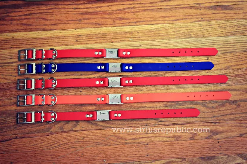 Waterdog Collars