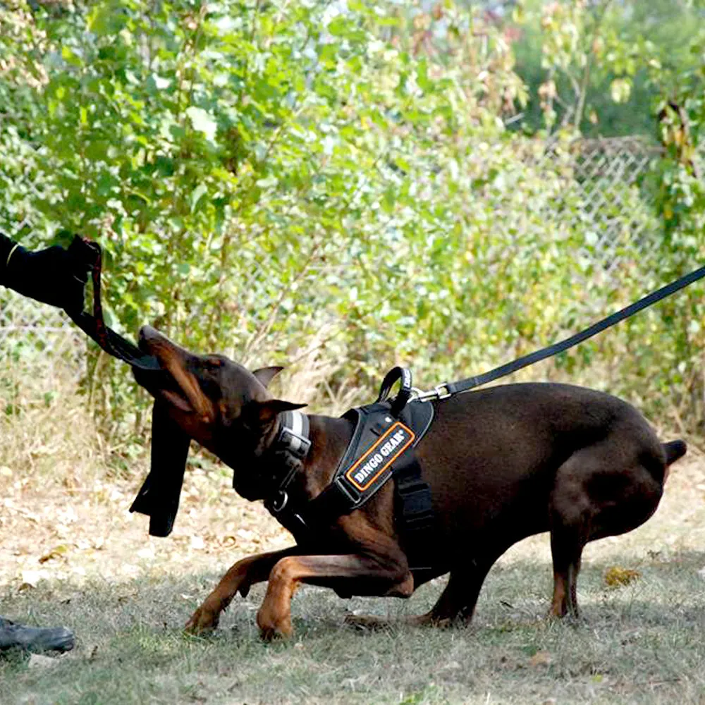 Working Dog Nylon Harness